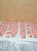 2015-Planet-Lori-Rocks-Event-002